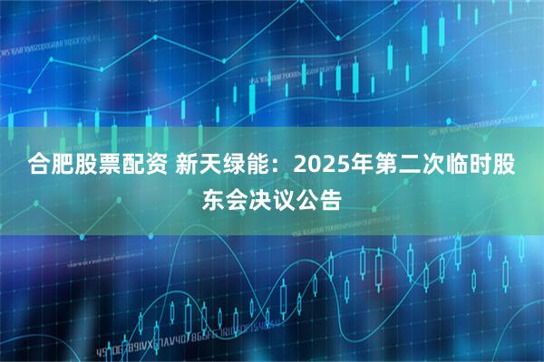合肥股票配资 新天绿能：2025年第二次临时股东会决议公告